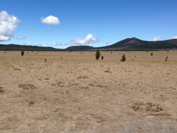 Pumice Desert