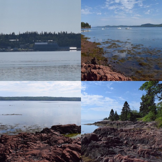 632ae7f1-ac6a-4c79-ac73-982201997956